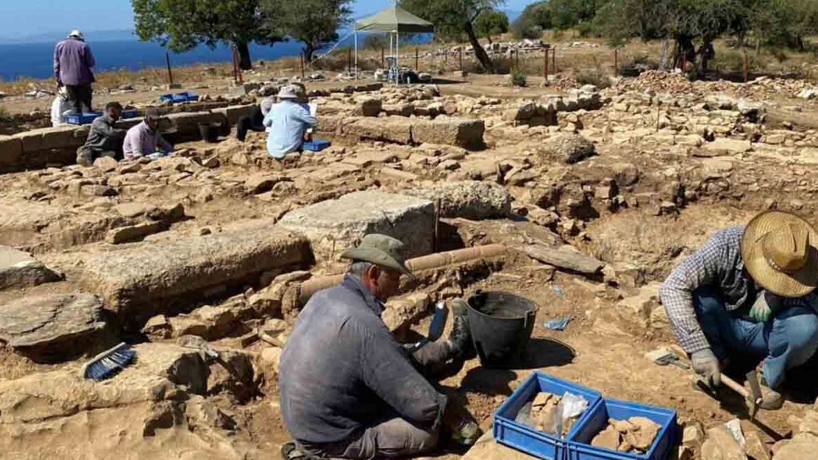 New best parada wave