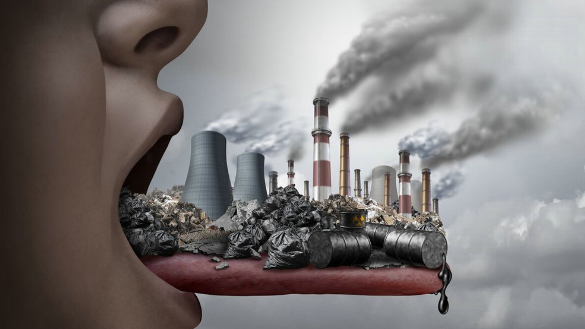 New best parada wave