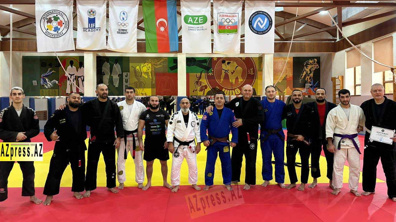 New best parada wave