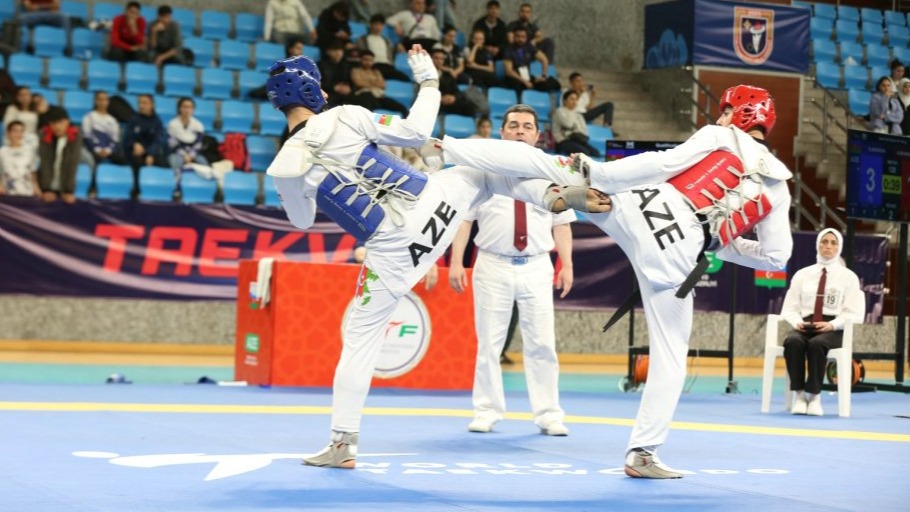 New best parada wave