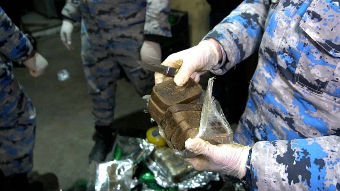 New best parada wave