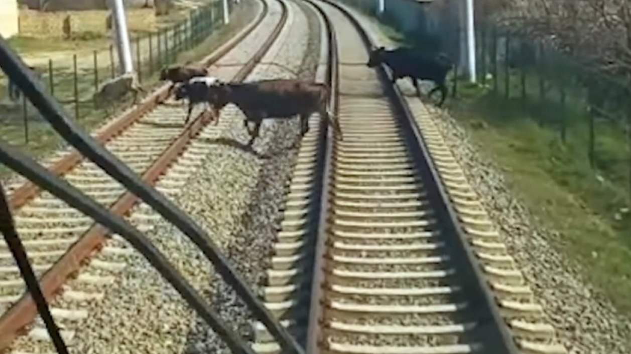 The world’s best cities to make business in