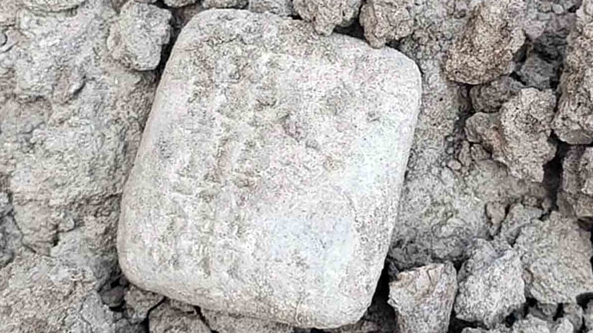 Beautiful tea cups to make you that matcha