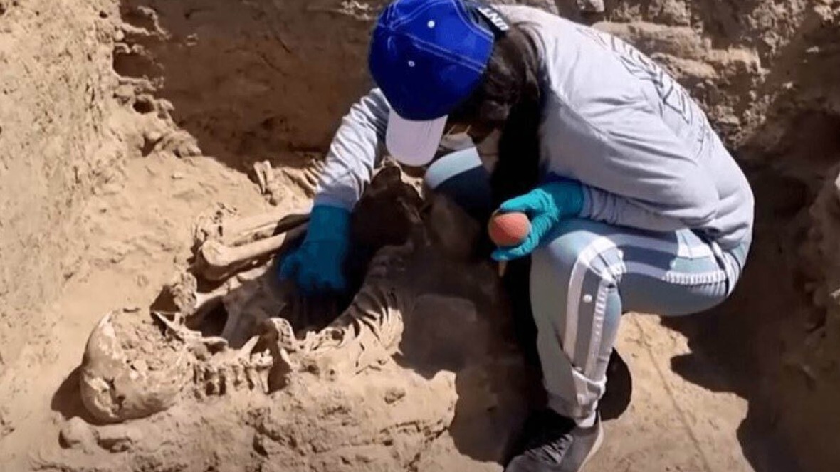 New best parada wave