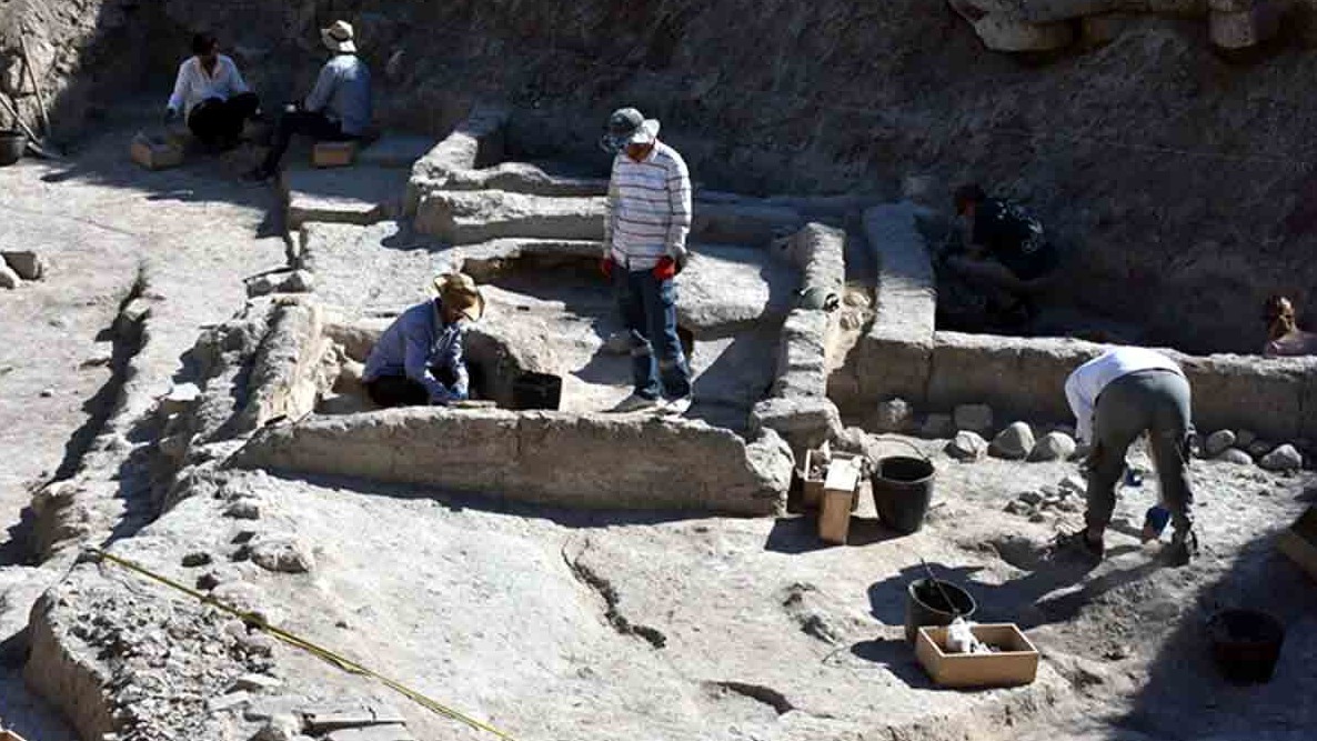 New best parada wave