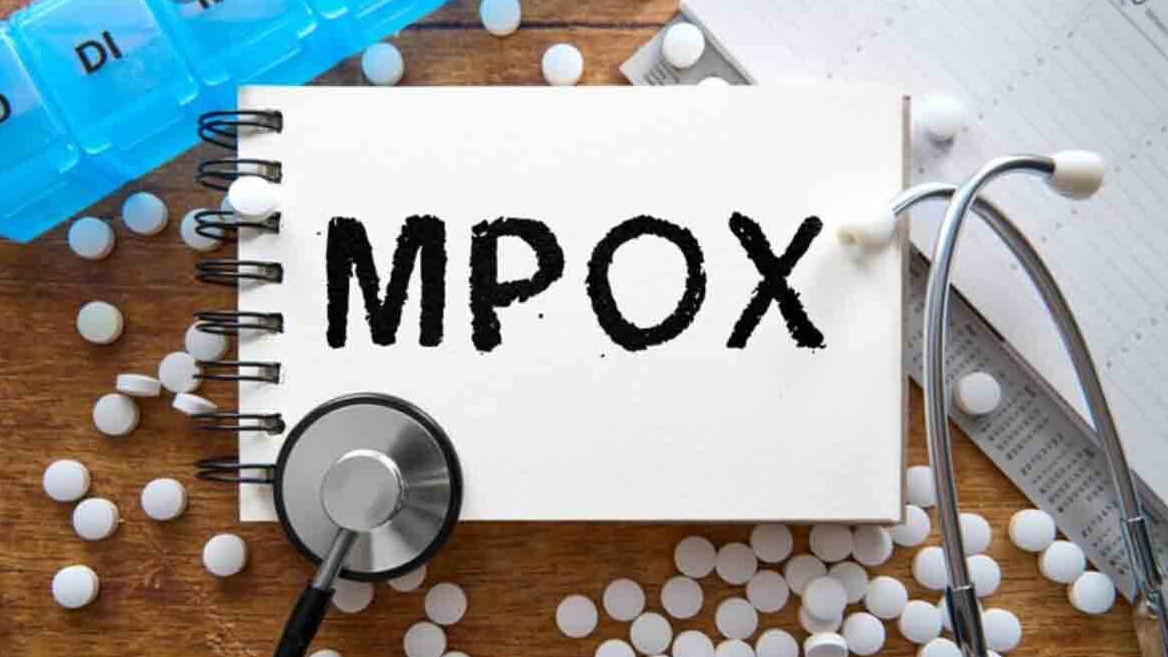 New best parada wave