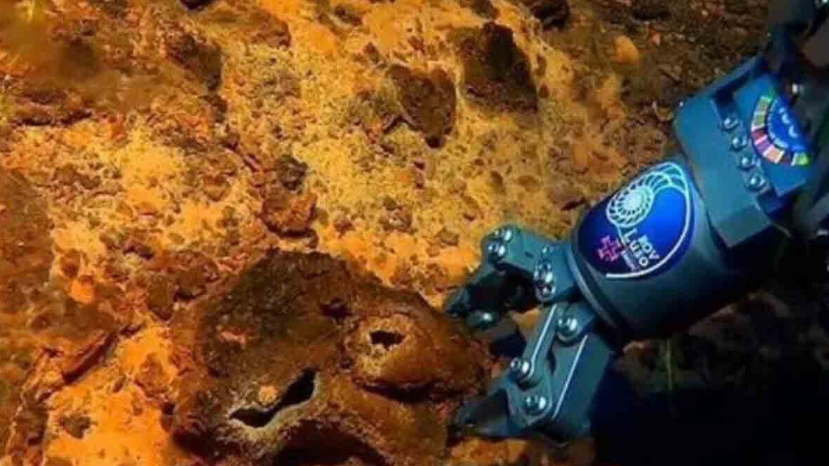 New best parada wave