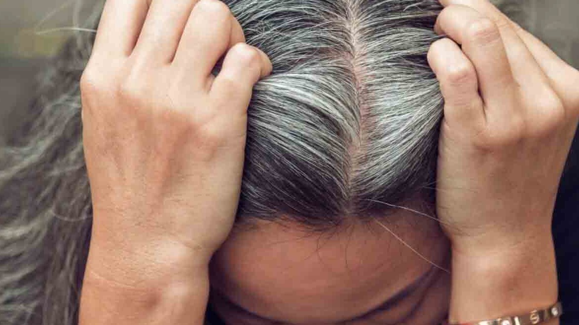 New best parada wave