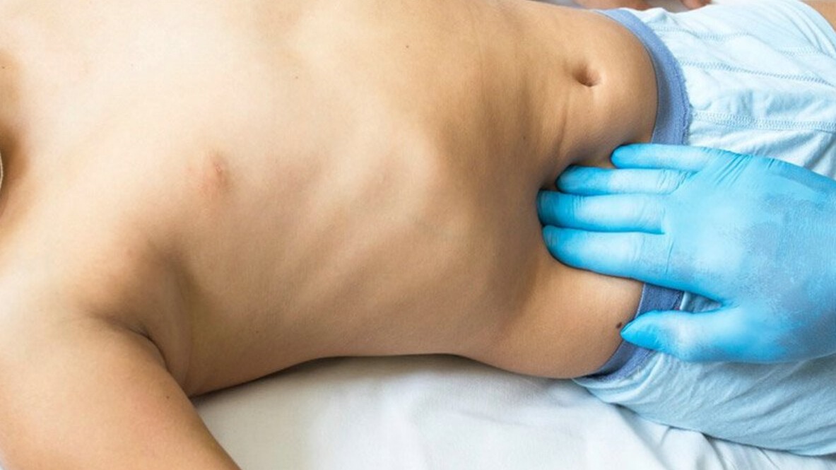 New best parada wave