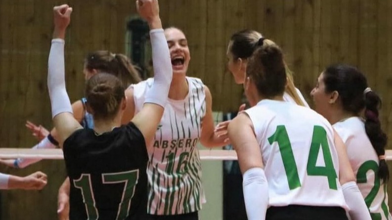 New best parada wave