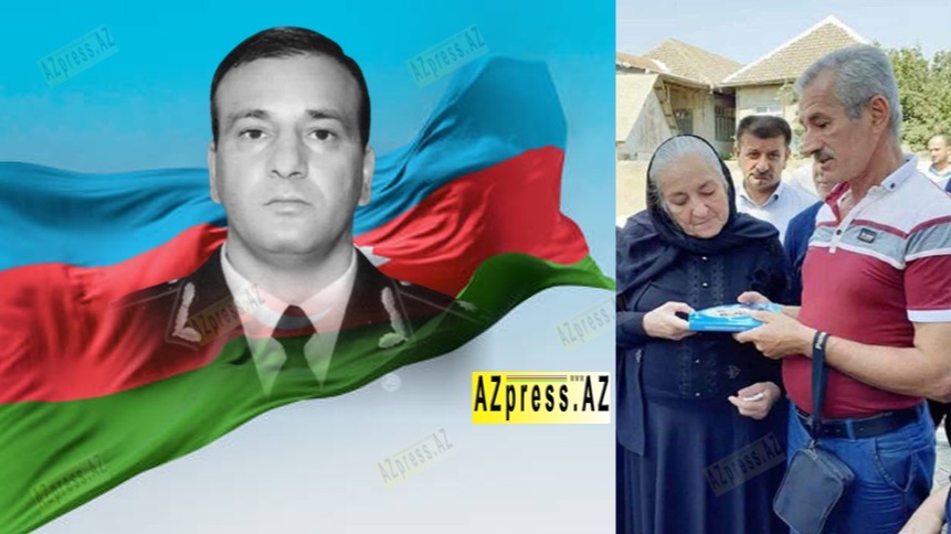 New best parada wave