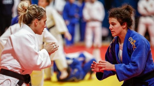 New best parada wave