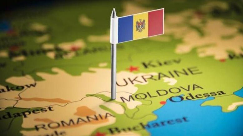 New best parada wave