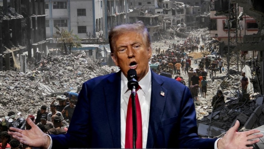 New best parada wave