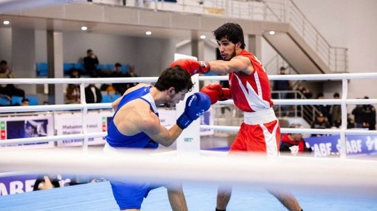 New best parada wave