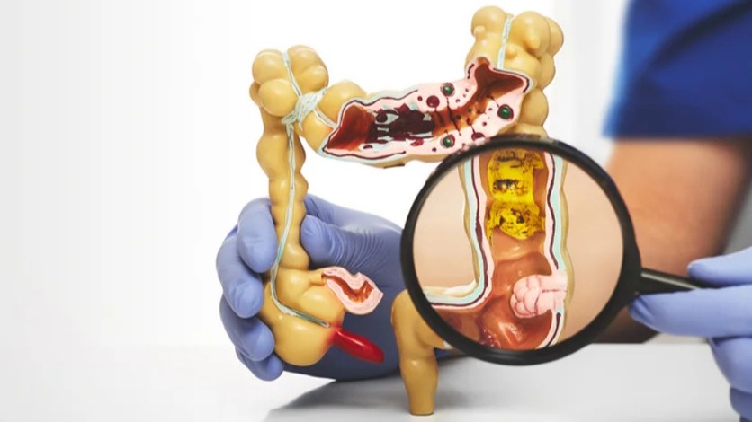 New best parada wave