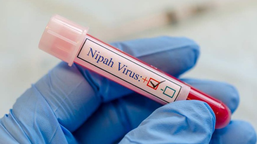 New best parada wave