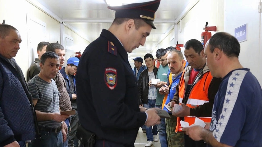 New best parada wave