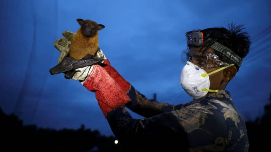 New best parada wave