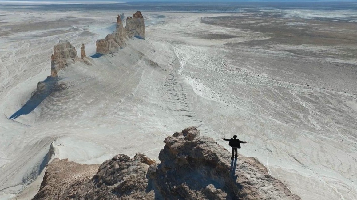 New best parada wave