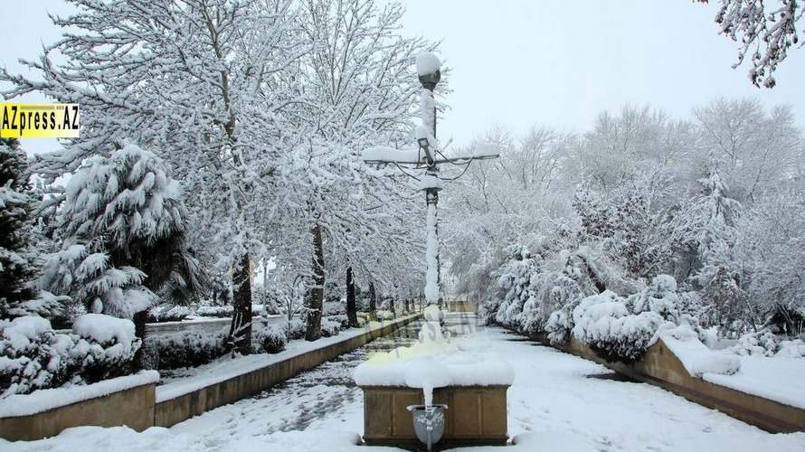 Highlights: New York Fashion Week 2015