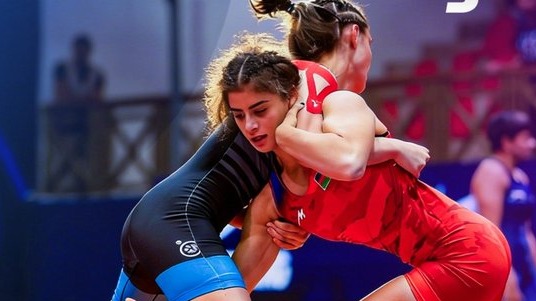 New best parada wave