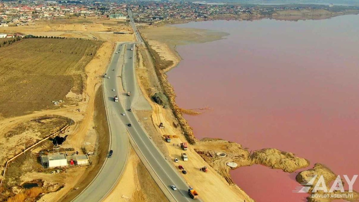 New best parada wave