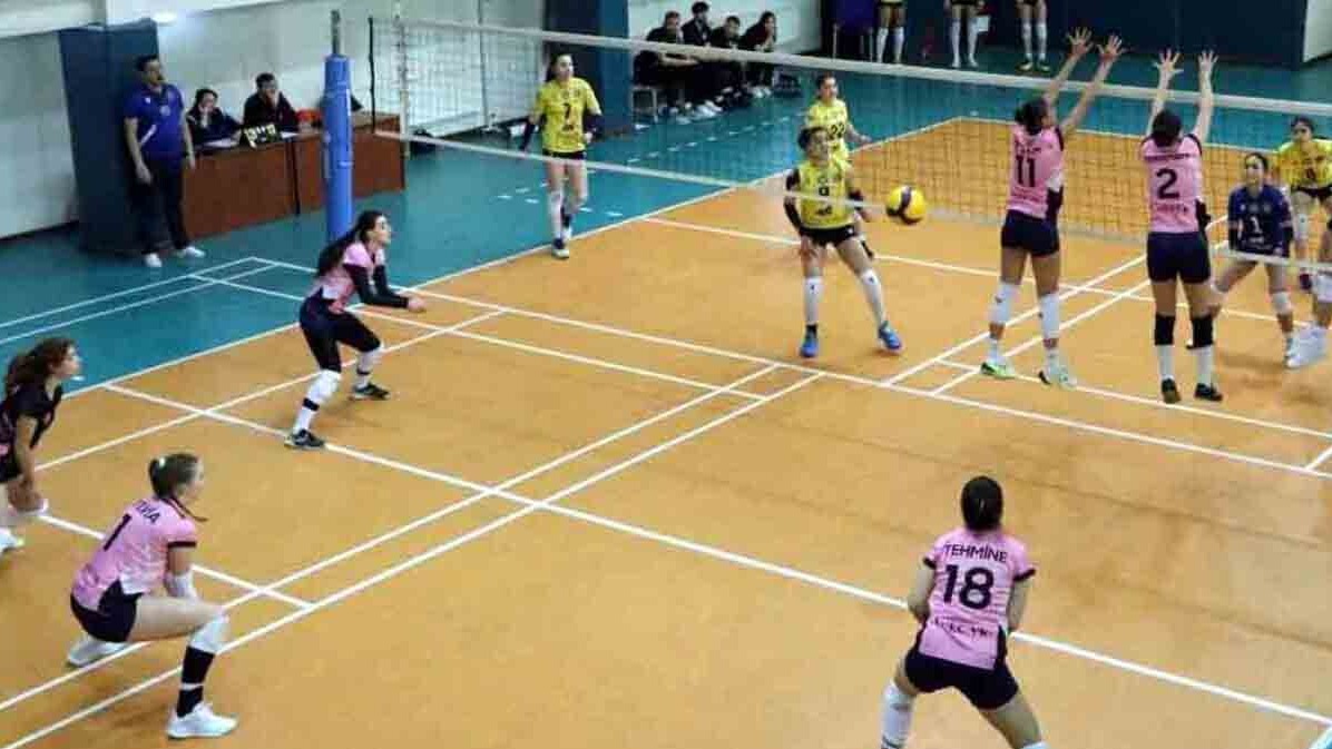 New best parada wave