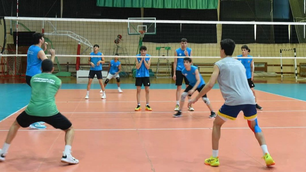 New best parada wave