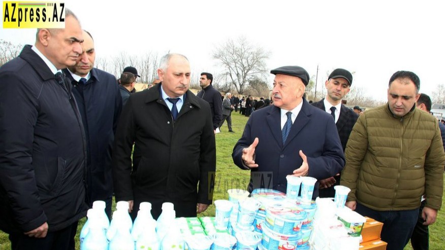 New best parada wave