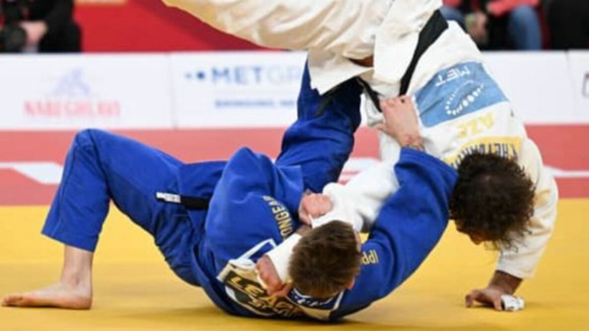 New best parada wave