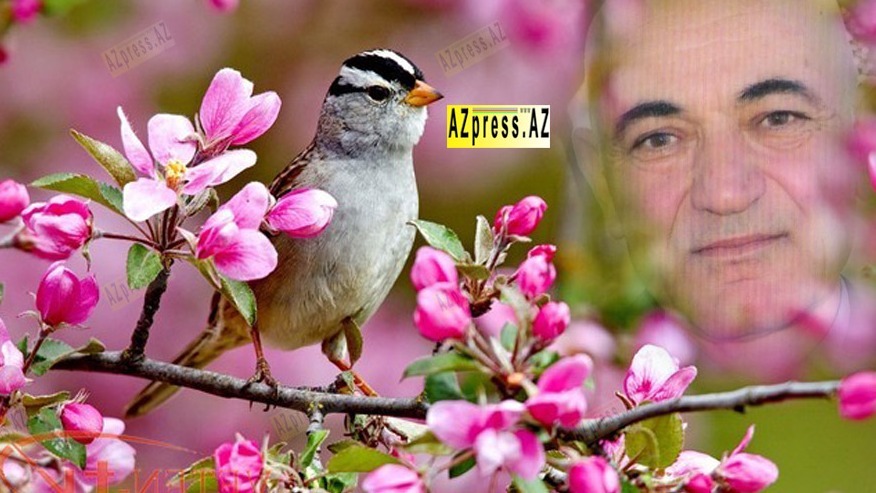 Highlights: New York Fashion Week 2015