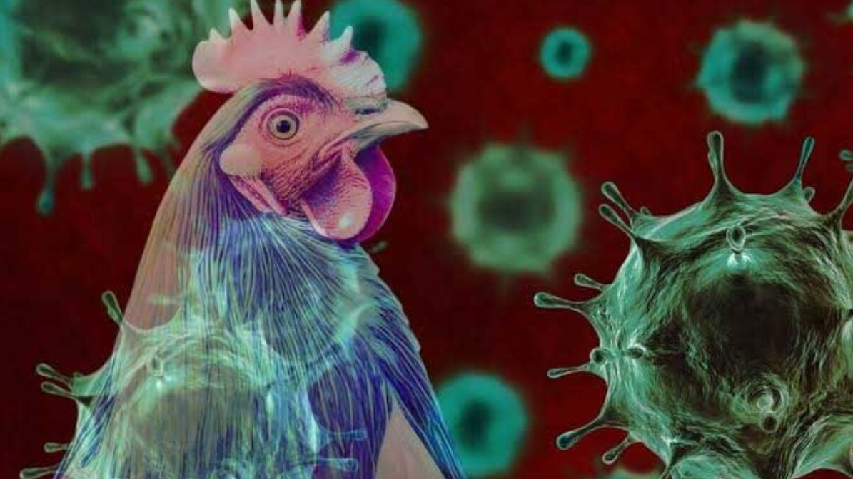 Highlights: New York Fashion Week 2015