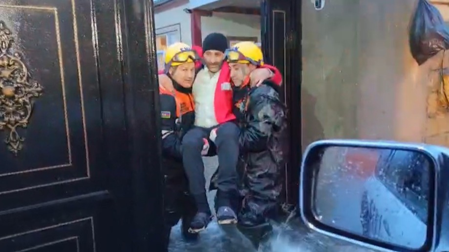 New best parada wave