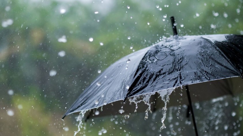 New best parada wave