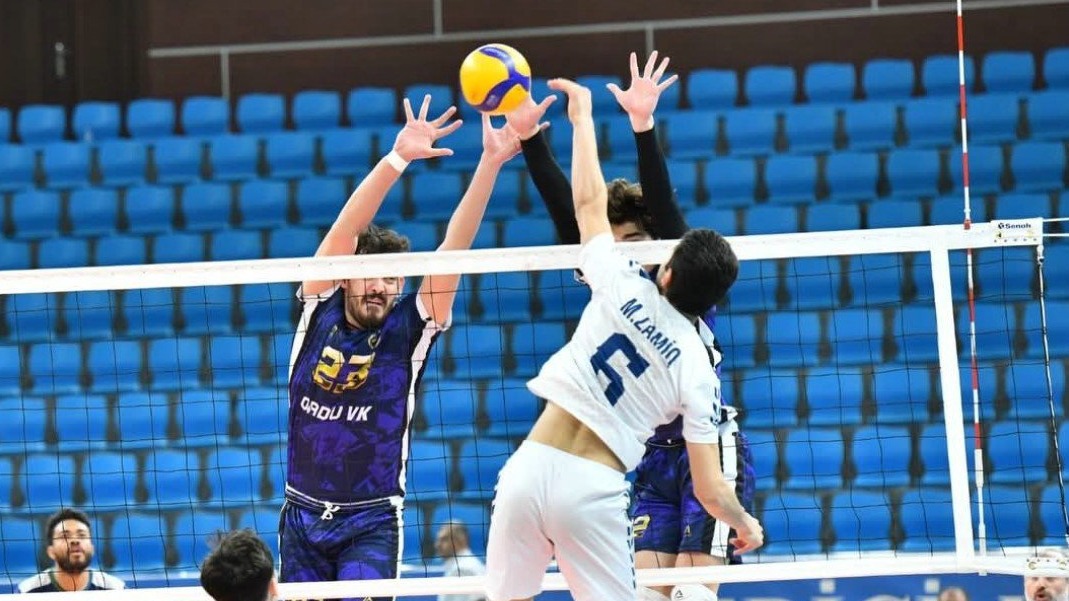 New best parada wave