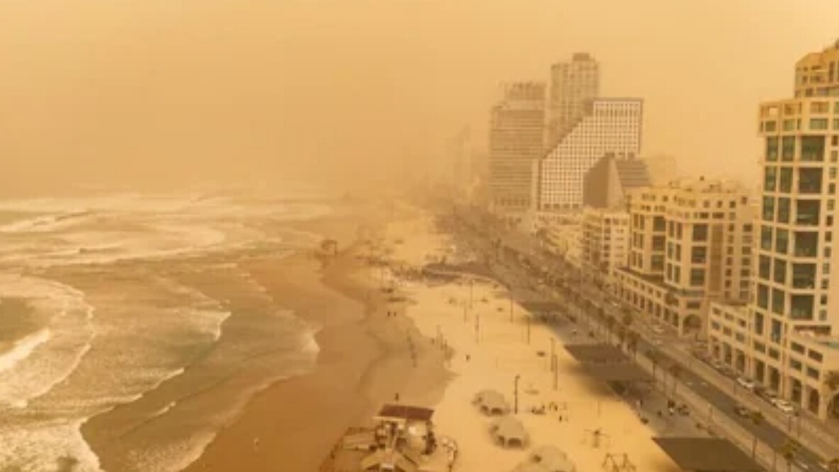 Beautiful tea cups to make you that matcha