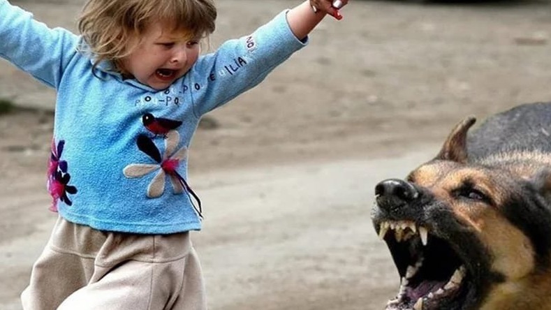 Highlights: New York Fashion Week 2015