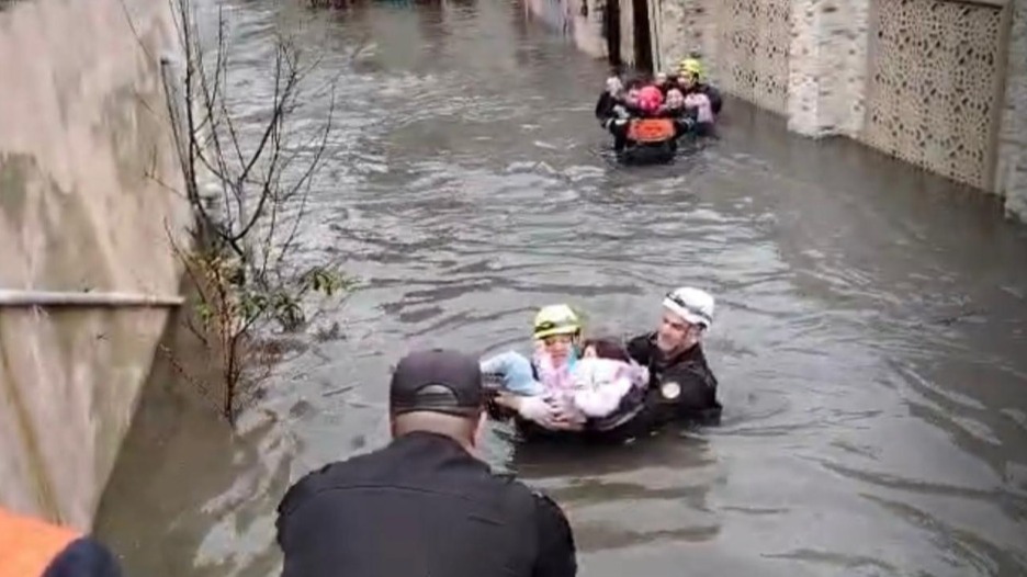 New best parada wave