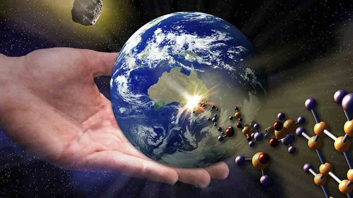 New best parada wave