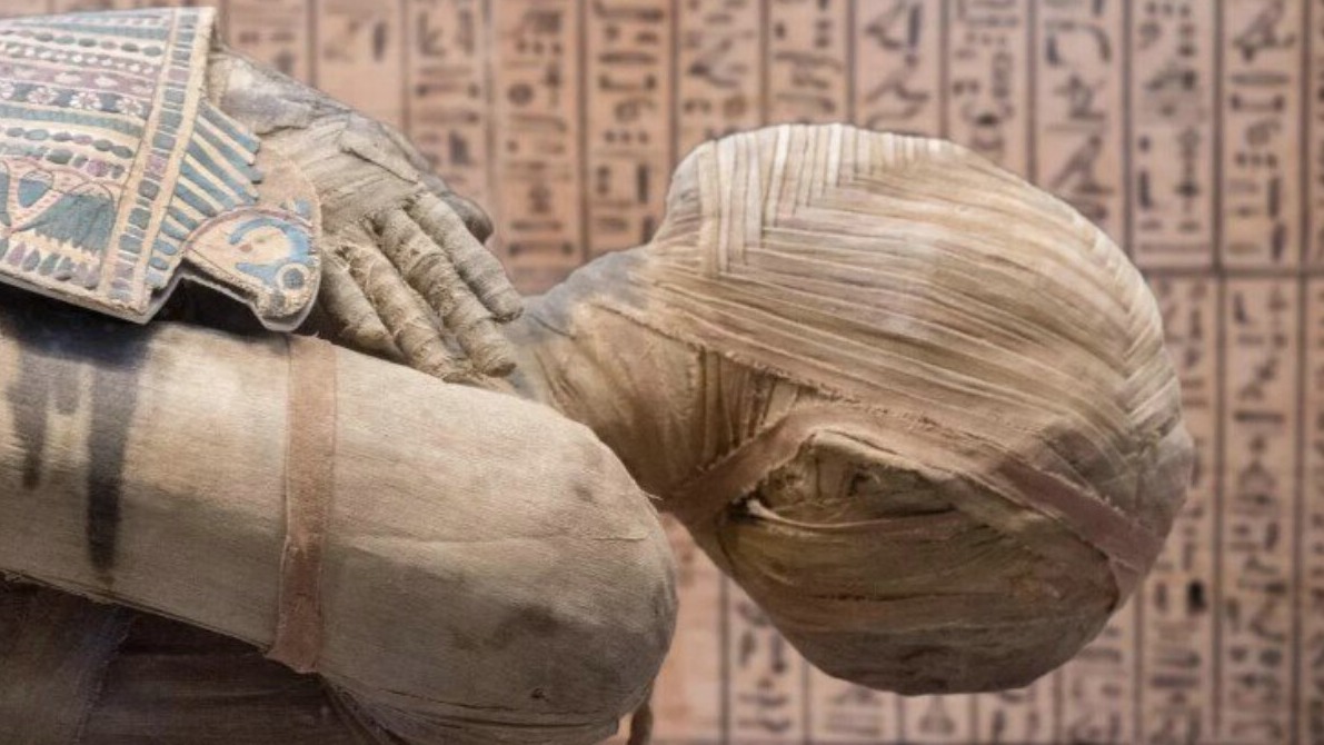 New best parada wave