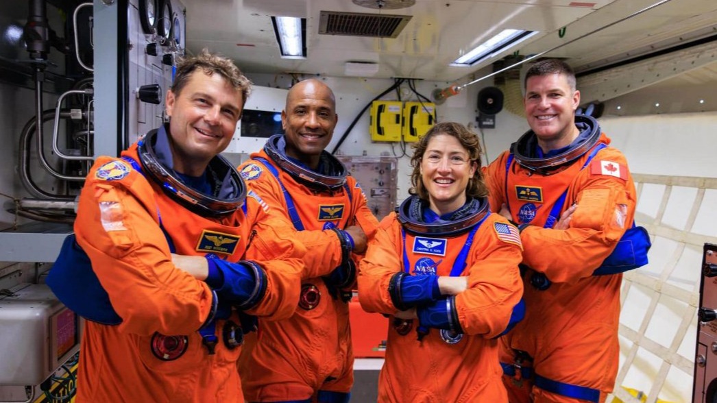 New best parada wave