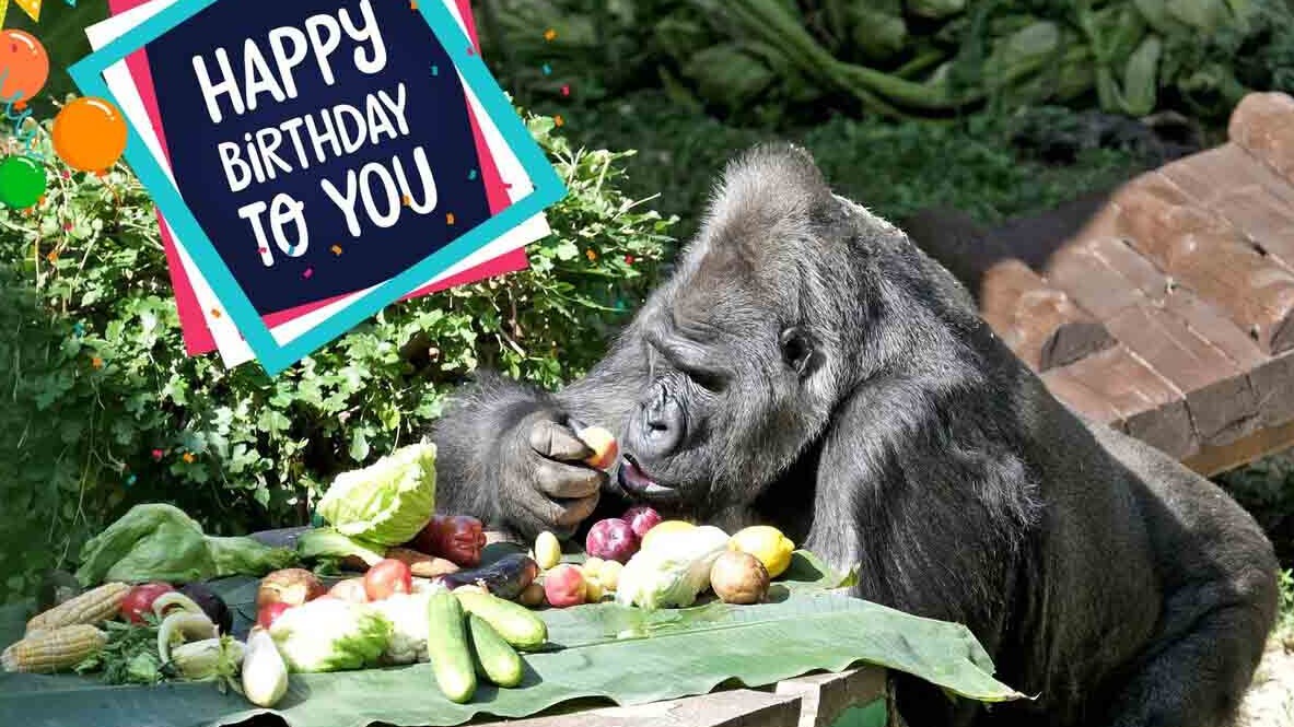 Beautiful tea cups to make you that matcha