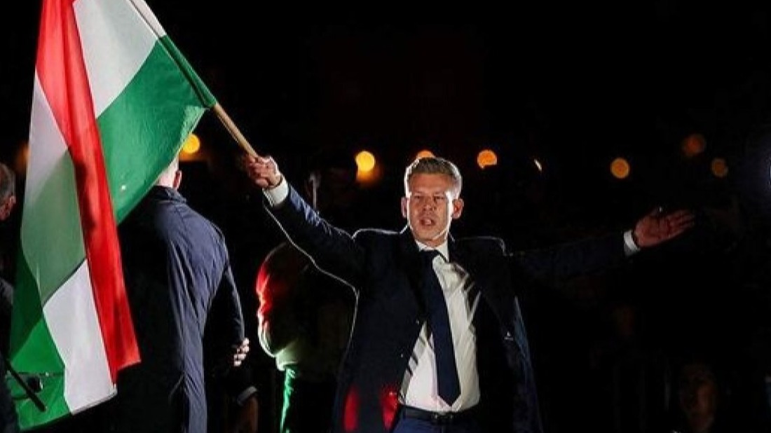 New best parada wave