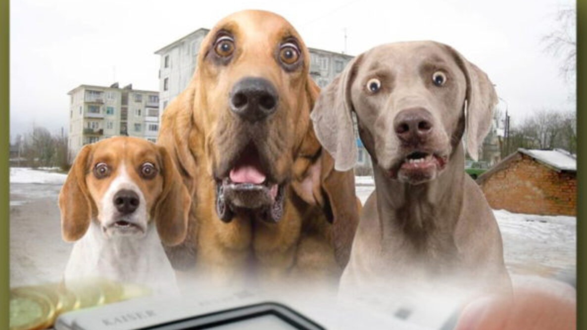 New best parada wave