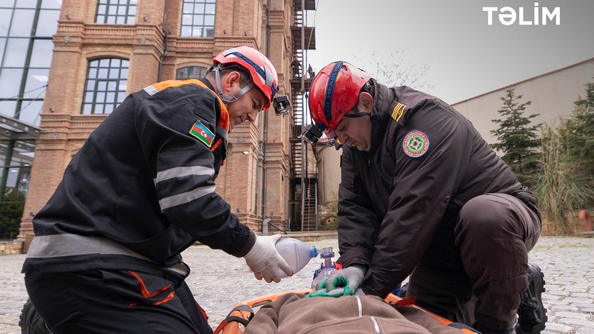 New best parada wave