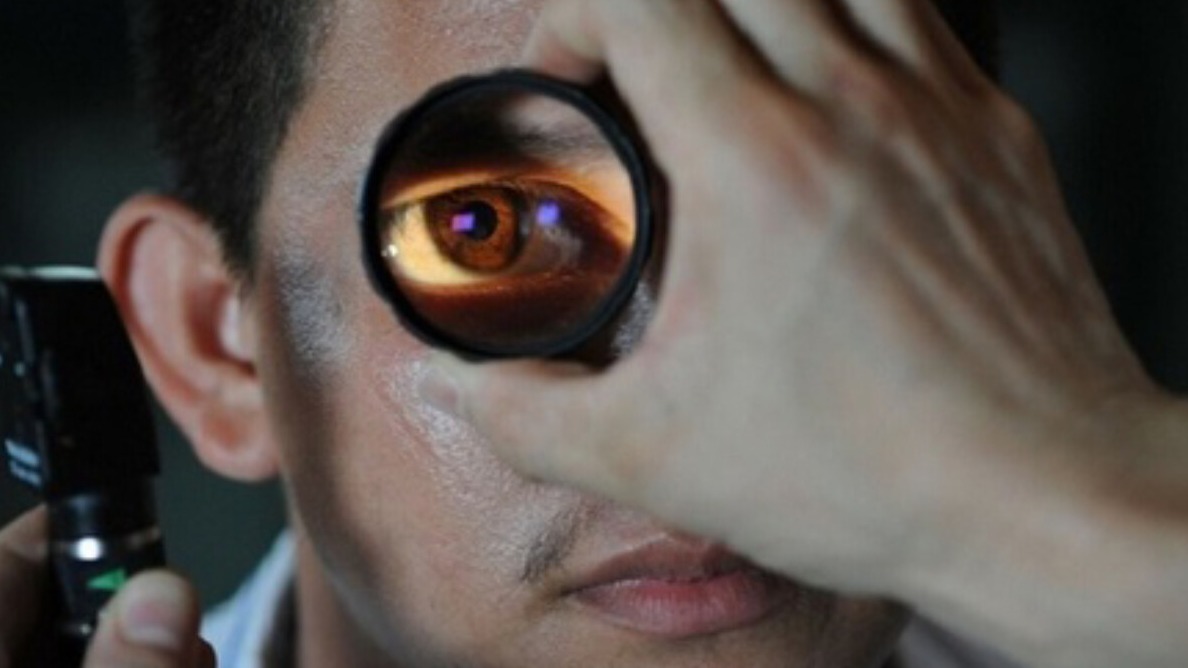 New best parada wave