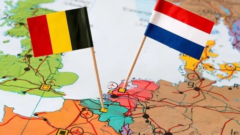 New best parada wave