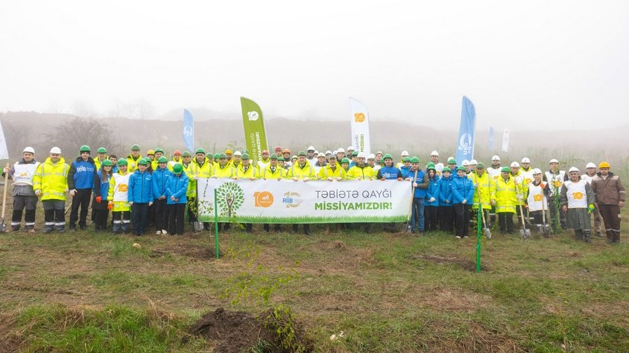 New best parada wave