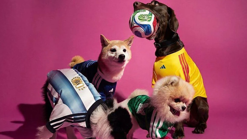 Highlights: New York Fashion Week 2015